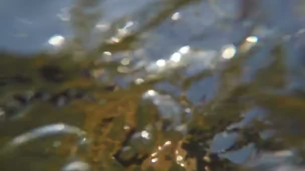 Man paddling, view from moving vessel. — Stock Video