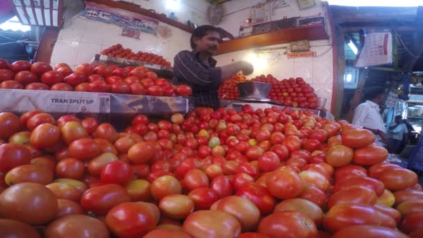 Man picking tomatoes m. — Stock Video