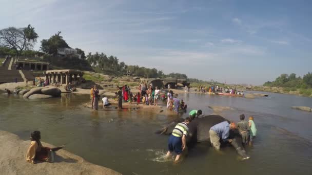 Indiase mannen een olifant in water wassen — Stockvideo