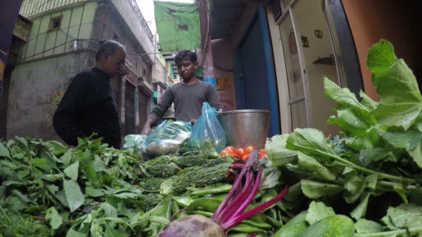 Продавец овощей — стоковое видео