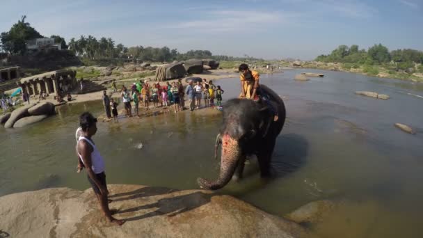 Elefante carregando pai e filho — Vídeo de Stock