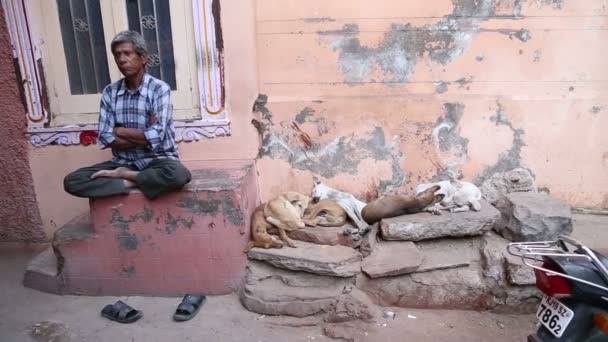 Indian man sitting — Stock Video