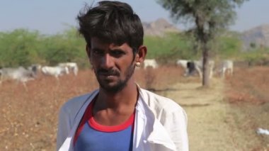 Genç çoban standları