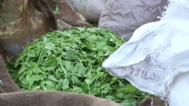 Market yeşil yaprak yığını standı