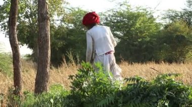 Ağaç dalları toplama adamım