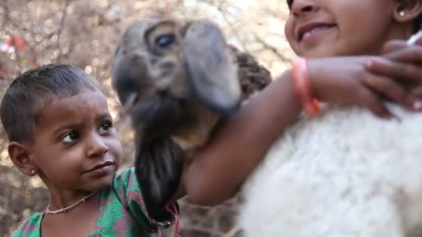 Mädchen, eines hält ein Lamm — Stockvideo