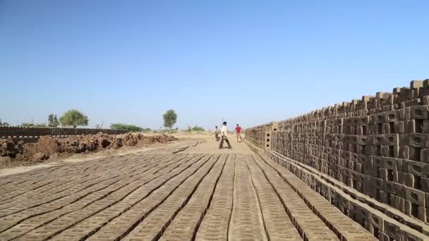 Fila de ladrillos en la obra — Vídeos de Stock