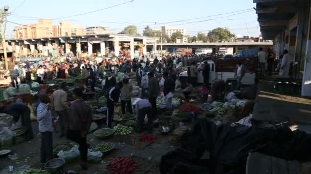 Lokale markt in Jodhpur — Stockvideo
