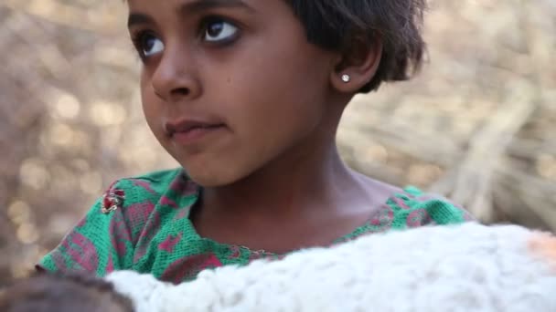 Menina indiana segurando um cordeiro — Vídeo de Stock