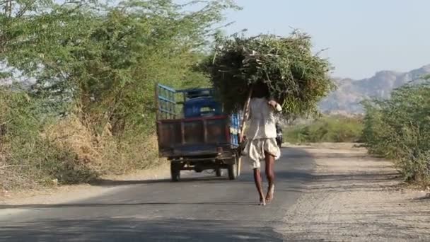 Hombre caminando por el camino — Vídeos de Stock