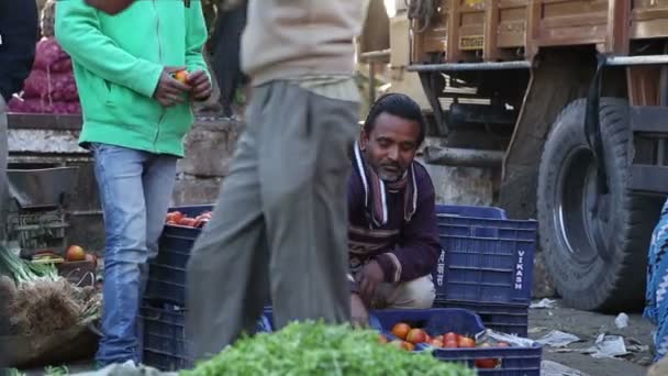 Leverancier op de markt in Jodhpur — Stockvideo