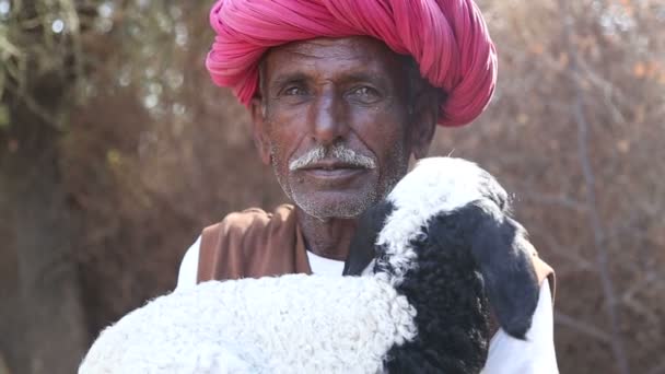 An mit Turban, der ein Lamm hält — Stockvideo