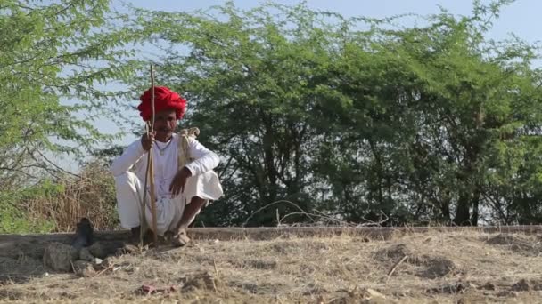 Indian om așezat — Videoclip de stoc