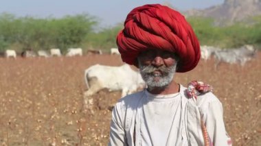 sığır Kaleci alanında