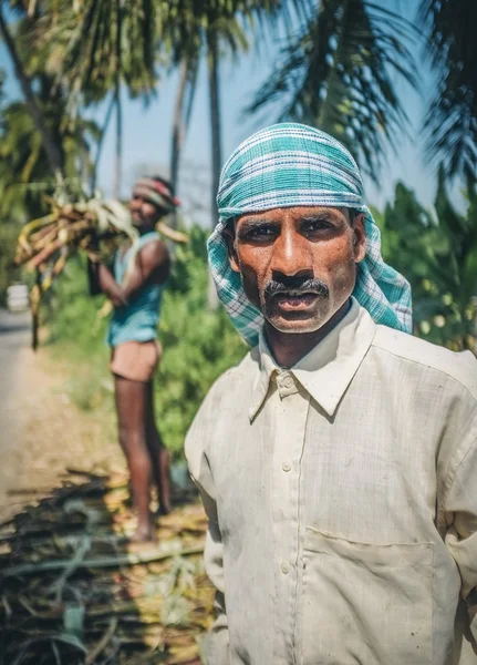 Trabajador con segundo trabajador cargando caña de azúcar — Foto de Stock