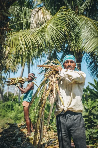 Indian workers — Stock fotografie