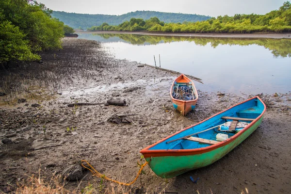 Orilla del río en Goa, India —  Fotos de Stock
