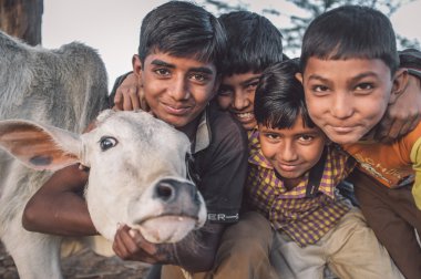 boys from Rabari tribe and calf pose.