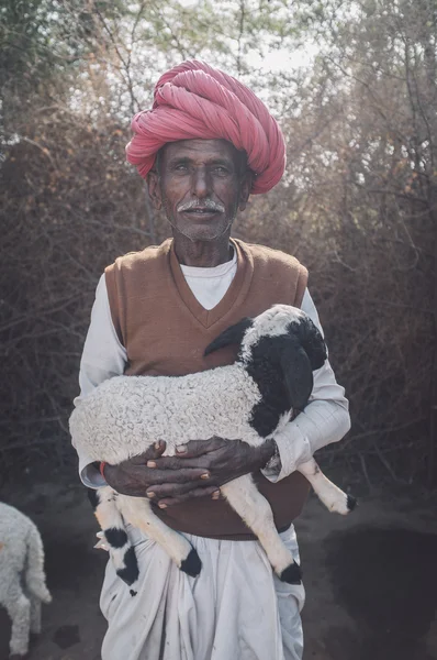 Rabari tribesman holds lamb — Stock Fotó