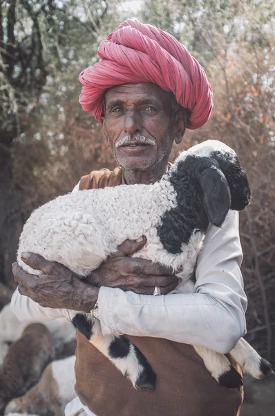 Rabari tribesman holds lamb — ストック写真