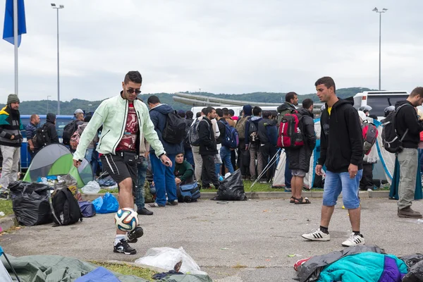 Border between Slovenia and Croatia — Stock Photo, Image