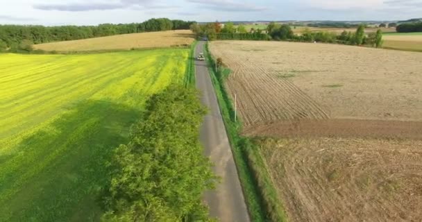 Koolzaad gewas veld in Frankrijk — Stockvideo