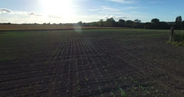 champs de patchwork en France 