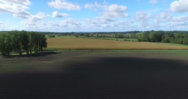 Tekstregels cornfield in Frankrijk — Stockvideo