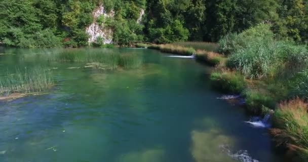 강에 맑은 날을 즐기는 사람들 — 비디오