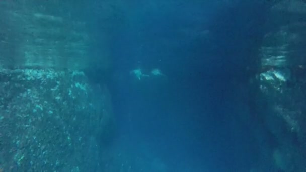 Personas nadando en la cueva — Vídeo de stock