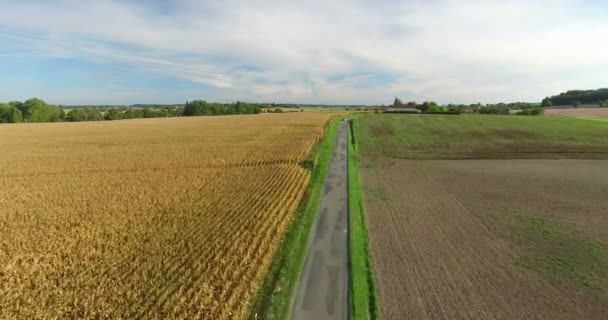 Campo de cultivo de colza en Francia — Vídeo de stock