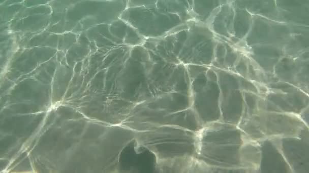 Belle surface de la mer — Video