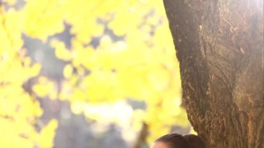 Ağaca yaslanmış bir kadın