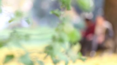 kaç şarkı ve gitar çalmak