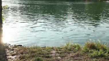 Nehire atlayarak arkadaş