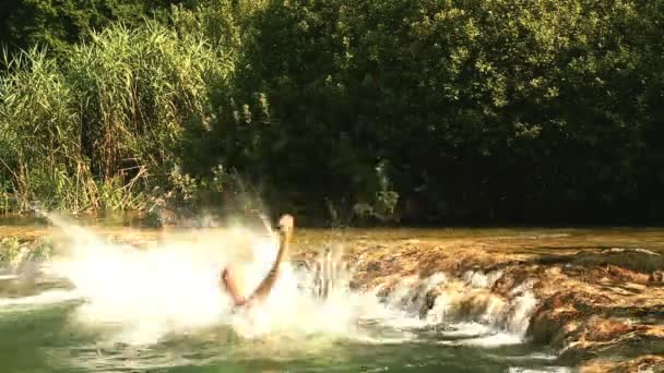 Friends jumping into river — Stock Video