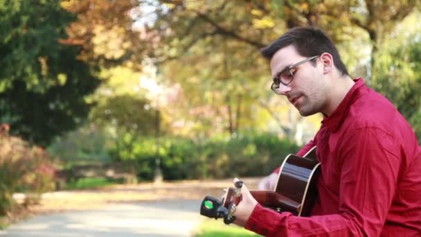 Uomo che suona la chitarra — Video Stock