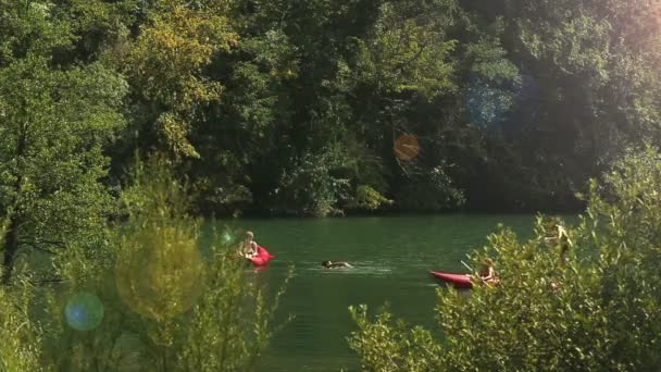 Volwassenen met plezier in een kano 's — Stockvideo