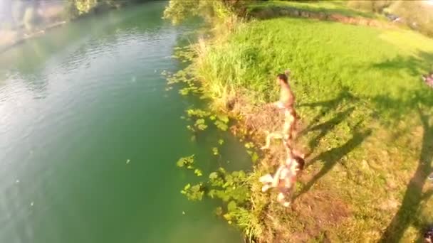 Друзья прыгают в реку — стоковое видео