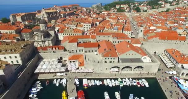 Old town harbor in Dubrovnik — Stock Video