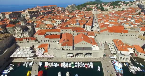 Old town harbor in Dubrovnik — Stock Video