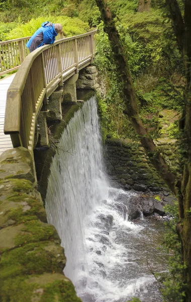 Un hombre mira desde el puente de la cascada —  Fotos de Stock