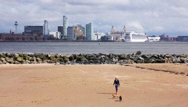 Bir kadın köpek sahilde New Brighton yürür.