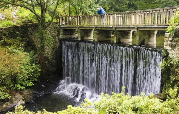 A Man Gazes Down from Waterfall Bridge — Stock Photo, Image