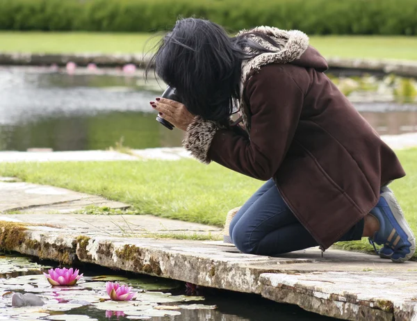 Žena fotografie růžový leknín — Stock fotografie