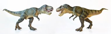 beyaz zemin üzerinde bir tyrannosaurus Çift