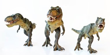beyaz zemin üzerinde bir tyrannosaurus üçlü 