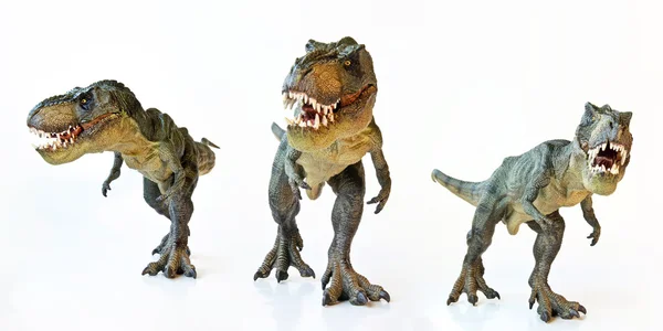 Beyaz zemin üzerinde bir tyrannosaurus üçlü — Stok fotoğraf