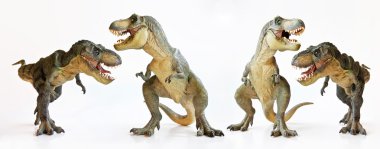 beyaz zemin üzerinde bir tyrannosaurus quartet