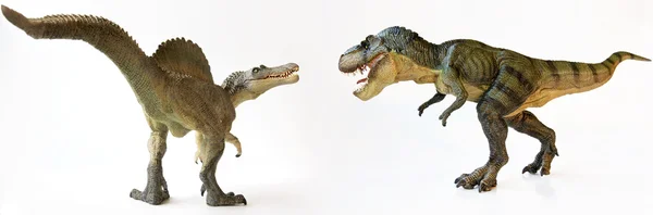 A T-rex Battles a Spinosaurus on White — Stock Photo, Image